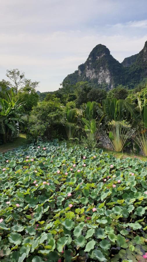 Aravinda Resort Ninh Binh Exterior photo