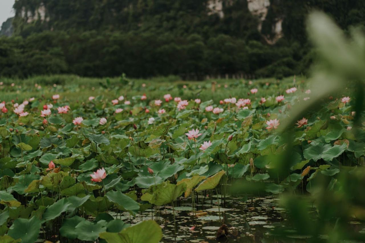 Aravinda Resort Ninh Binh Exterior photo